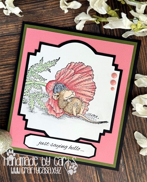 Poppy Dreams