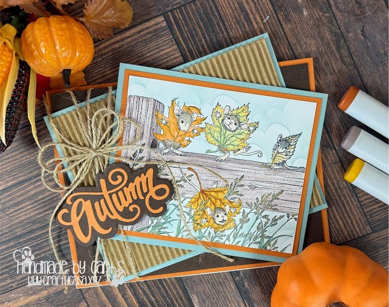 Fall Fun!