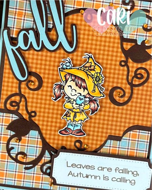 CariS_0926_CCDBlog_zoom