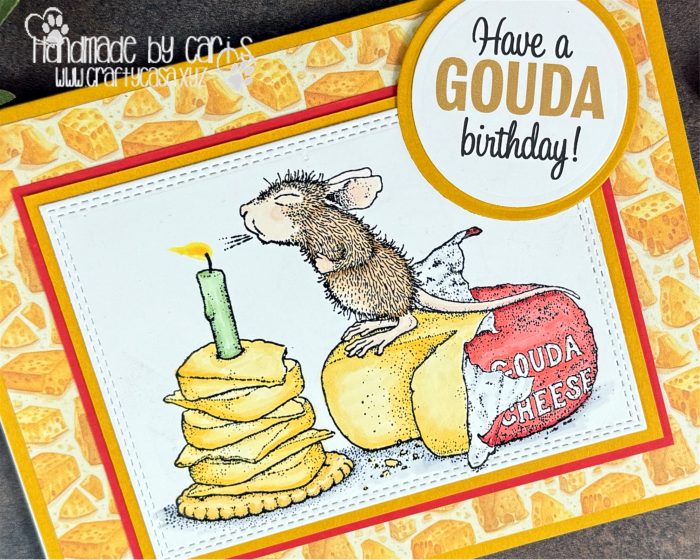 CariS_A Gouda Birthday_091525_zoom