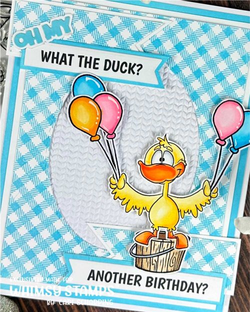 CariS_BarnyardFriends_CrissCrossGingham_SweaterEmdFldr_OMGWord_StitchedOval_zoom CariS_BarnyardFriends_CrissCrossGingham_SweaterEmdFldr_OMGWord_StitchedOval_zoom