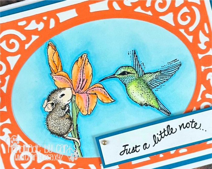 CariS_BirdWatching_zoom