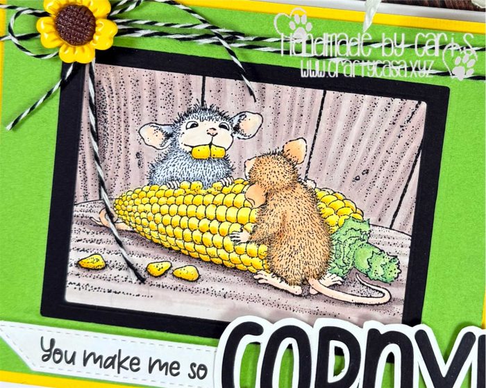 CariS_CornToothed_zoom