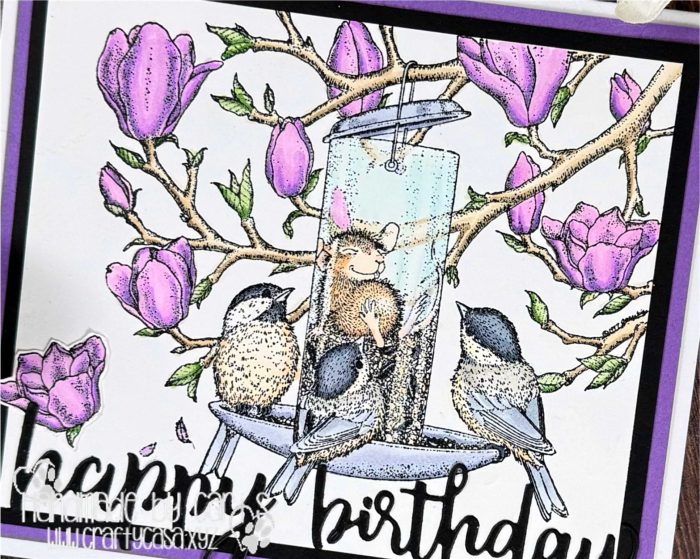 CariS_FeederFriends_zoom