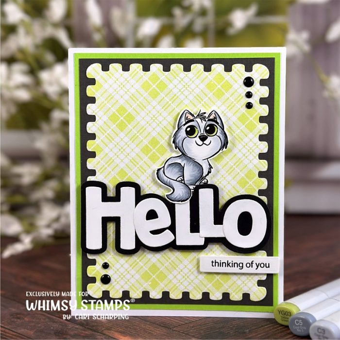 CariS_LittleToesKitty_ExtermePostage_HelloWord_TartanPlaidBG
