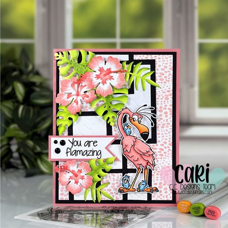 CariS_Paradise_May23_Blog CariS_Paradise_May23_Blog