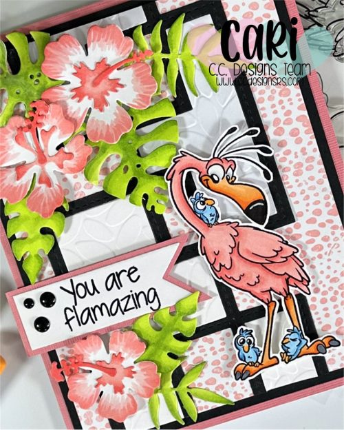 CariS_Paradise_May23_zoom You are Flamazing
