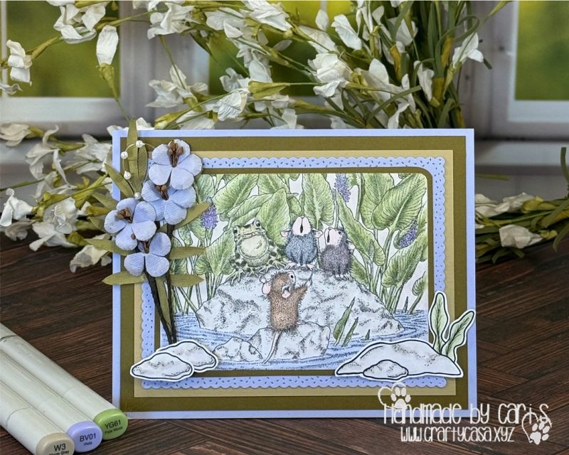 Cari_Frog in the Bog