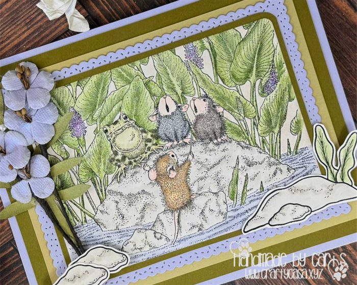 Cari_Frog in the Bog_zoom